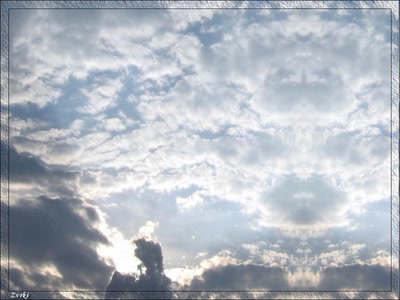 Résultat de recherche: Ciel oiseau