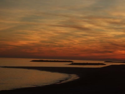 Résultat de recherche: couchant