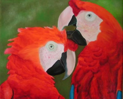 Résultat de recherche: La beauté des perroquets