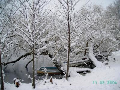 Œuvre de rodolphe65: Nature enneigée