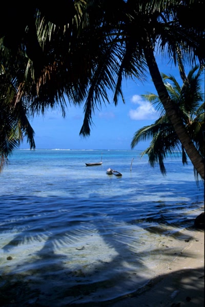 Résultat de recherche: Madagascar L'ïle de St Marie