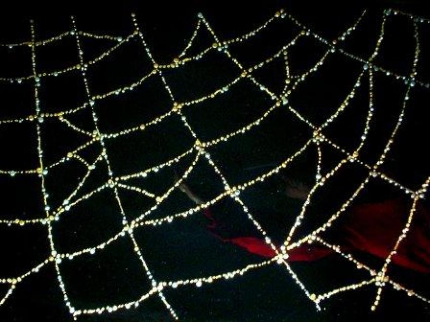 la toile d'araignée