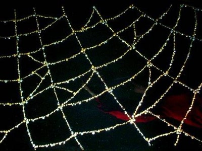 Œuvre de patzy: la toile d'araignée
