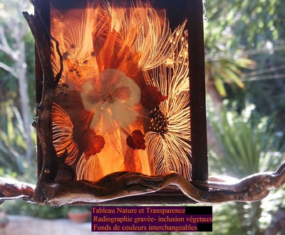 Œuvre de fran7: NATURE ET TRANSPARENCE
