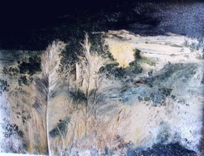 Œuvre de fran7: NATURE