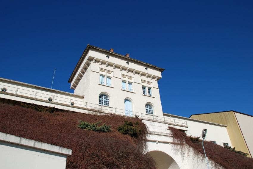 Cave des Lèves et Thoumeyragues