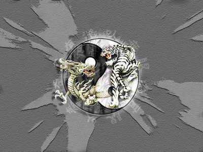 Résultat de recherche: Le Yin et le Yan