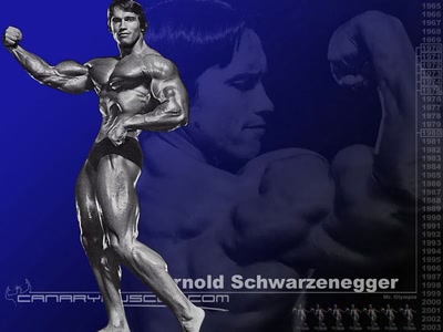 Résultat de recherche: Arnold Schwarzenegger - musculation