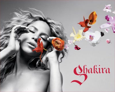 Œuvre de anime: Shakira, Blowing Flowers Artwork