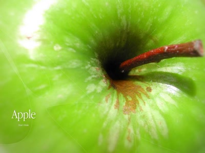 Résultat de recherche: Pomme