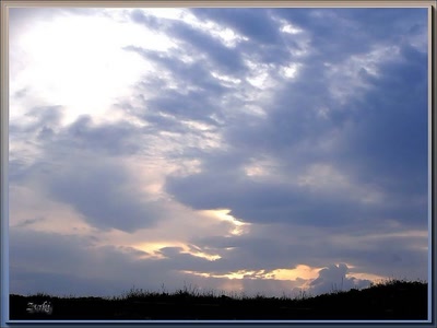 Résultat de recherche: Chien 29408b2