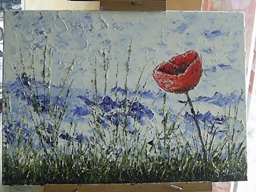 Le coquelicot dans le pré