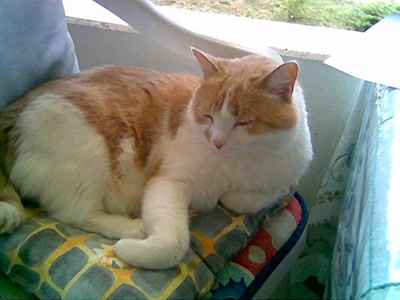 Résultat de recherche: Zoé d'amour!