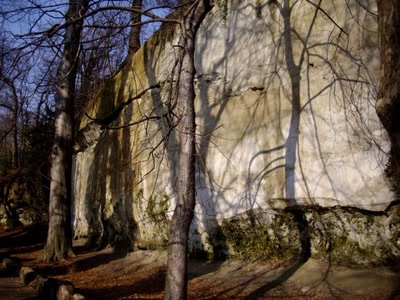 Résultat de recherche: Ch. des Molasses - 2 -