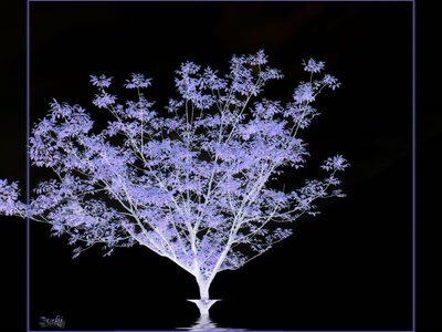 Résultat de recherche: Arbre 60508 c