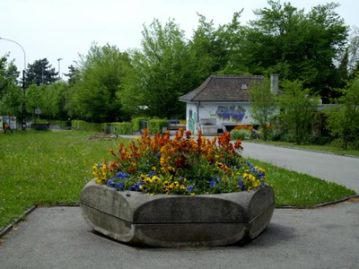 Œuvre de Walkyrie: Fouilli de couleurs