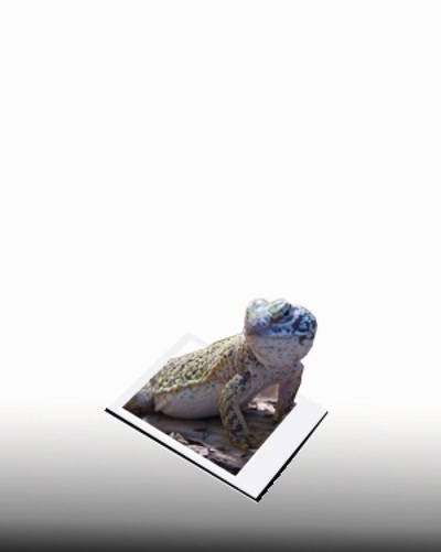 Œuvre de graphia: de où sort-il ?