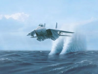 Œuvre de anime: F-14 Tomcat