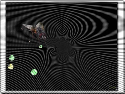 Résultat de recherche: Mouch 3708b2