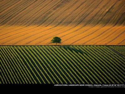 Résultat de recherche: Champs
