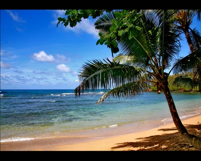 Œuvre de anime: ile