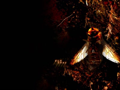 Œuvre de xrar: Fantastique - Abstrait