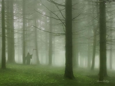 Œuvre de xrar: Fantastique - Abstrait