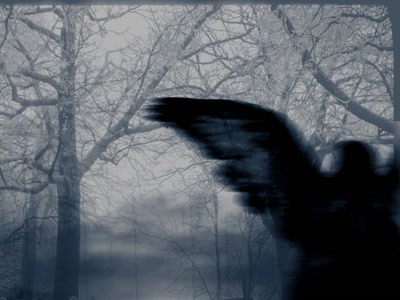 Œuvre de xrar: Fantastique - Abstrait