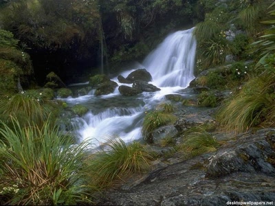 Résultat de recherche: Nature_Photos