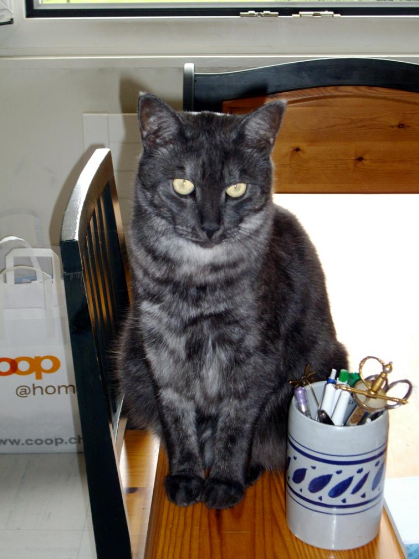 Nanou, à moitié Egyptien