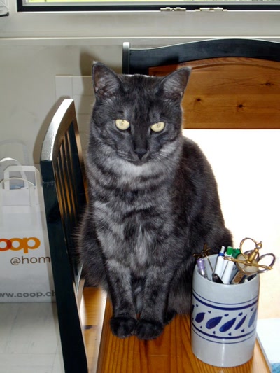 Résultat de recherche: Nanou, à moitié Egyptien