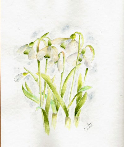 Résultat de recherche: PERCE-NEIGE