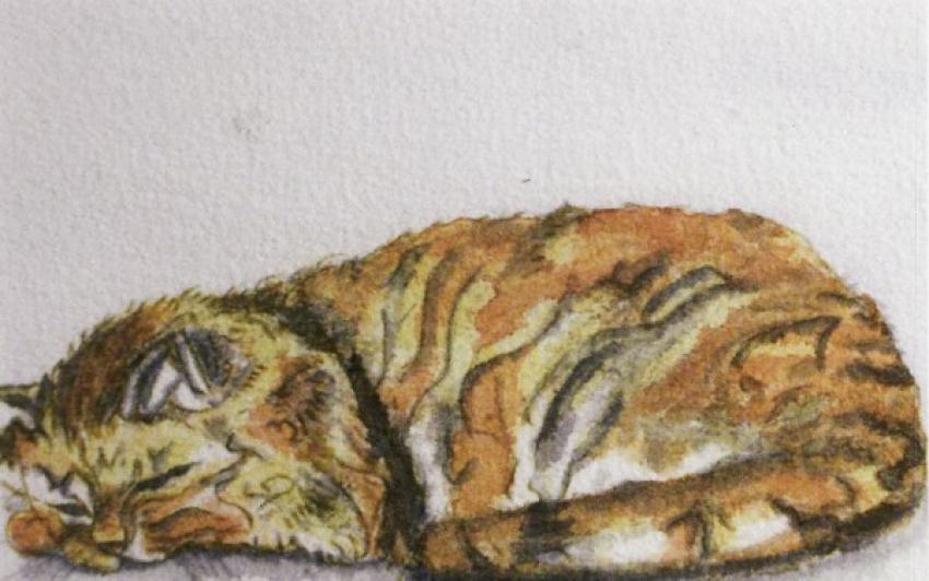 Ne réveillez pas le chat qui dort.