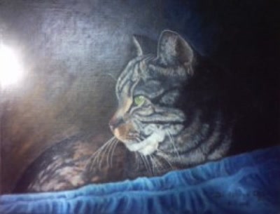 Œuvre de kriss1952: Chat à la couverture bleue.