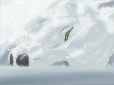 Œuvre de anime: Wolf's Rain