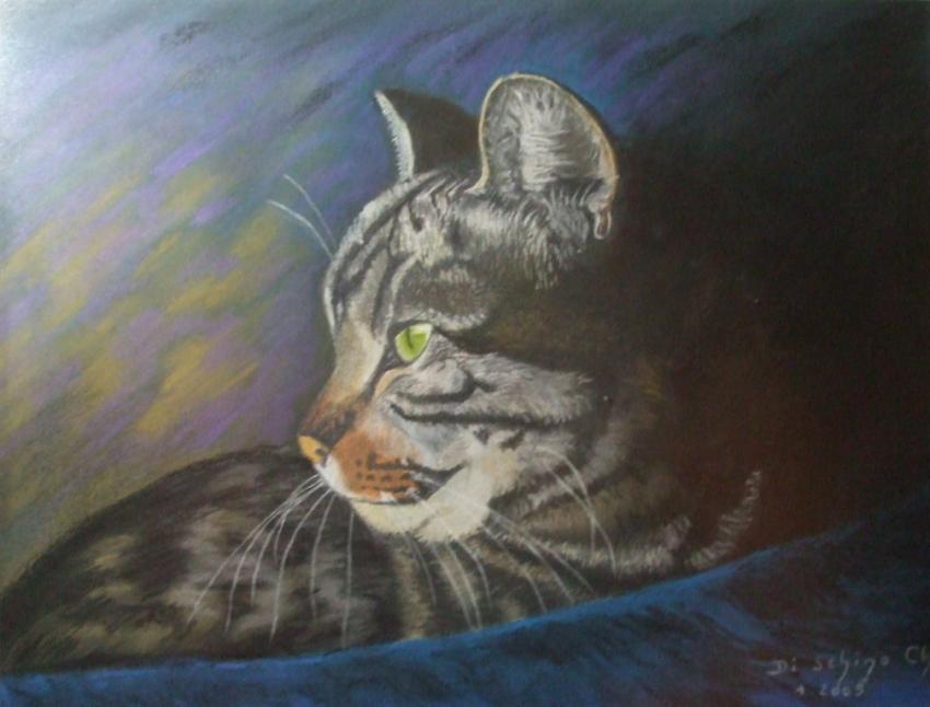 Le chat à la couverture bleue.