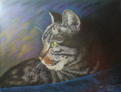 Le chat à la couverture bleue.