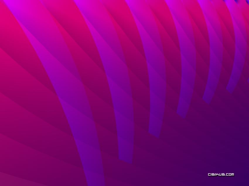 la croisée des roses