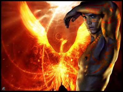 Œuvre de Lylou71: Phoenix
