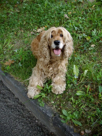 Résultat de recherche: Oh la belle blonde!