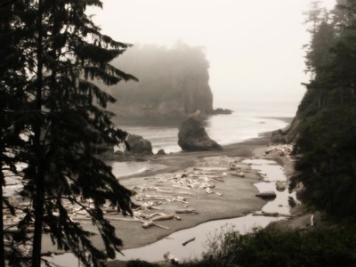 Résultat de recherche: Olympic national park