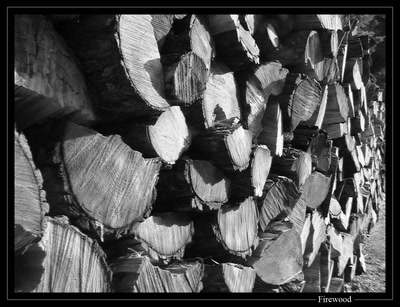 Œuvre de Schrome: Bois de Chaufage