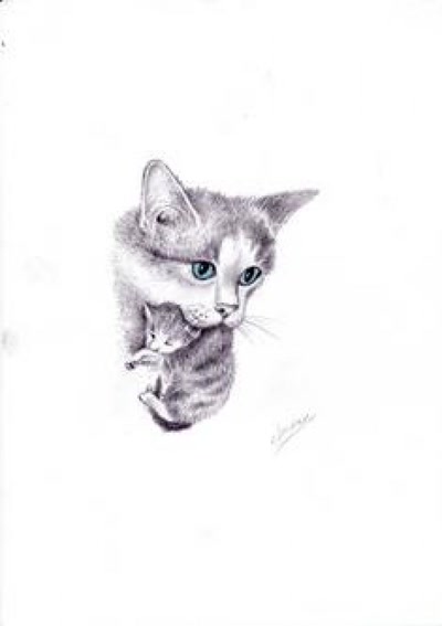 Œuvre de didier71: le chaton