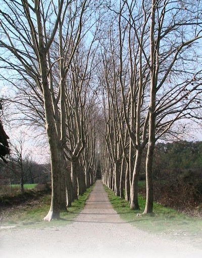 Résultat de recherche: L'allée sans fin