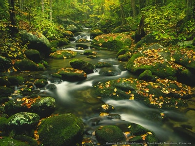 Œuvre de ESS: Riviére