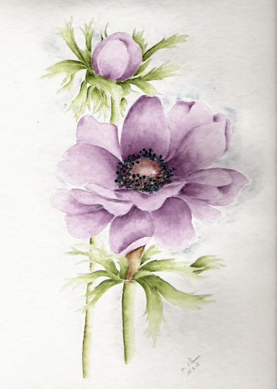 Résultat de recherche: Anémones