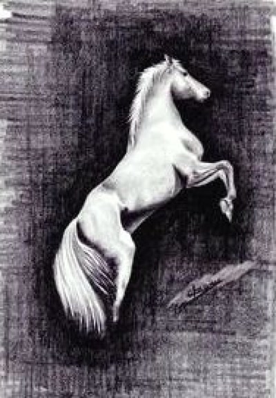 Œuvre de didier71: l etalon