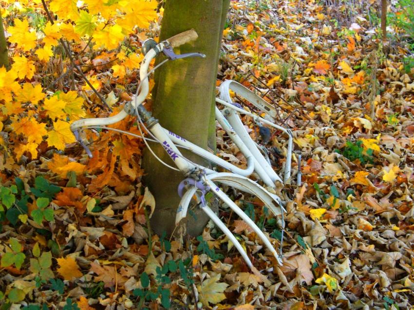 Abandonné ou volé ?