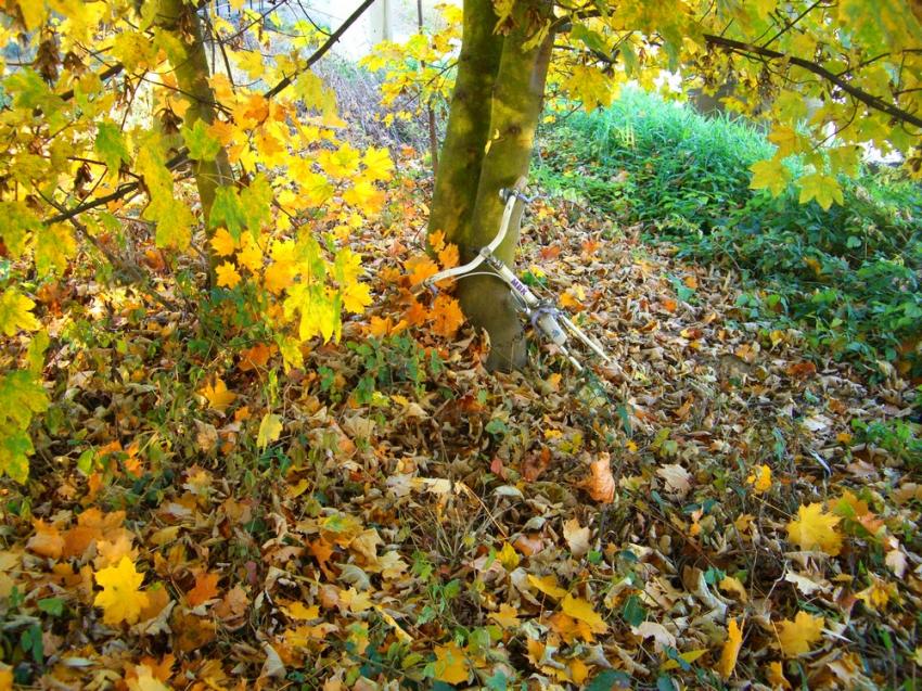 Abandonné ou volé ?