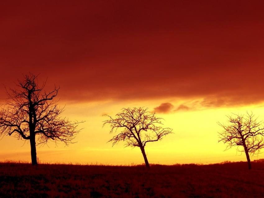 Sentier des cerisiers
